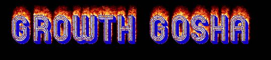 Ignite Your Business Growth with Growth Gosha